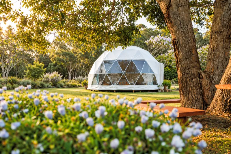 Geo dome kit under a gum tree with a glass front